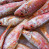 Offertissima! Triglie di scoglio a 8,90 €/kg
