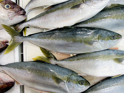 Ricciola in Offerta!