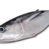 Tonno Alalunga a trance in OFFERTA  a 12,50 €/kg!