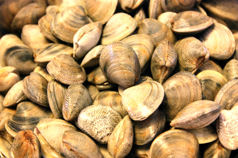 Vongole Lupini in Offerta a 6,90 €/kg!